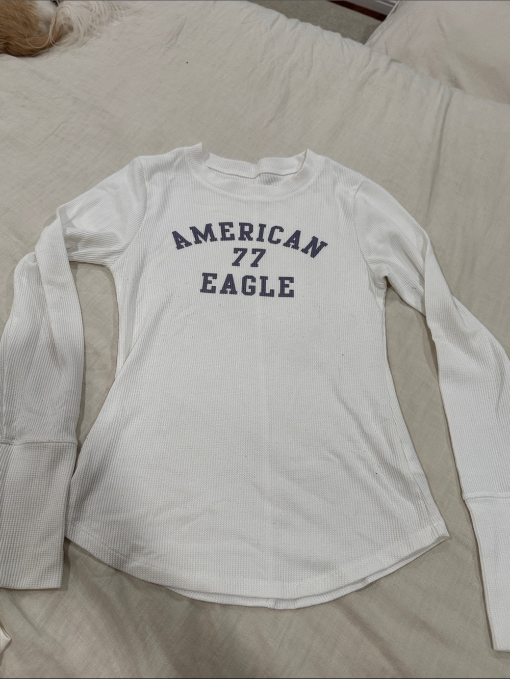 American Eagle Outfitters White Long-Sleeve Graphic 'American 77 Eagle' Tee